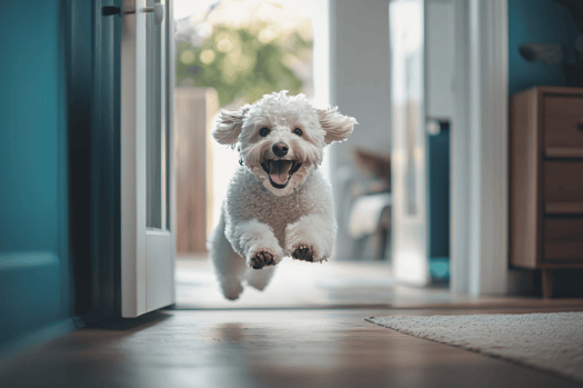 Happy-Dog-Resize-2