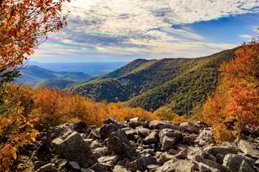Summit Trail in Shenandoah Park Virginia